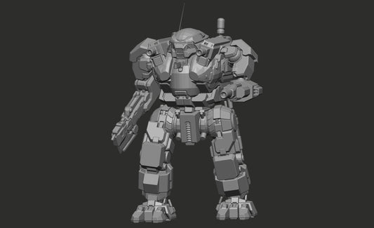 Custom 2 Mech Order Zerker/Shooter